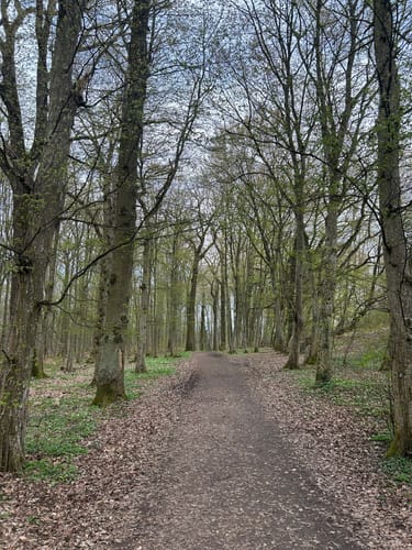 Abebe-Bikila-Runde