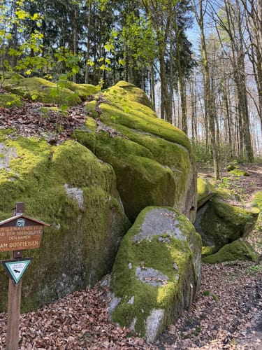 Odenwald: Kirschhausen Rundweg