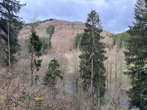 Dreiländereck (Nat’Our Route 1)