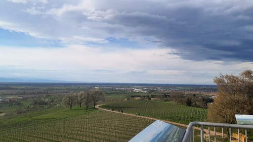 Ettenheimer Panorama-Tour