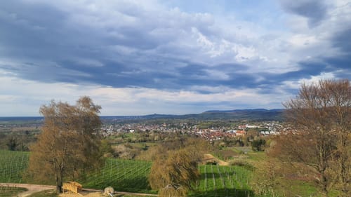 Ettenheimer Panorama-Tour