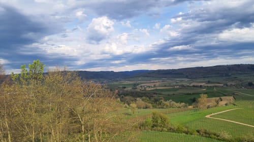 Ettenheimer Panorama-Tour