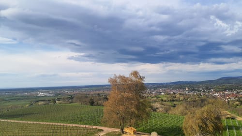 Ettenheimer Panorama-Tour