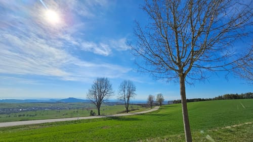 Premiumwanderweg: Wannenbergtour