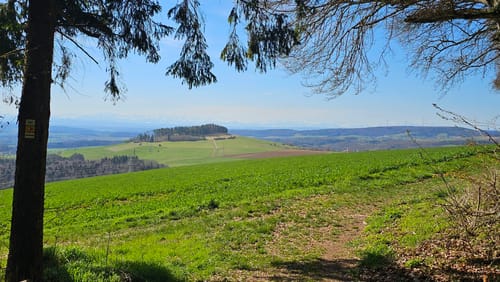 Premiumwanderweg: Wannenbergtour