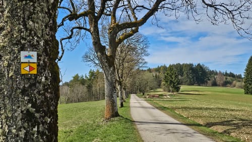 Premiumwanderweg: Wannenbergtour