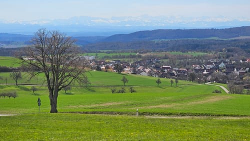 Premiumwanderweg: Wannenbergtour