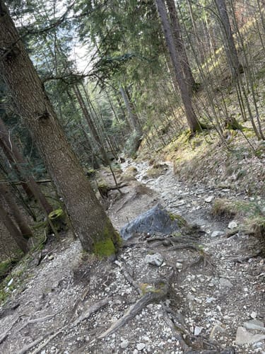 Kampenwand und Sulten ab Aigen