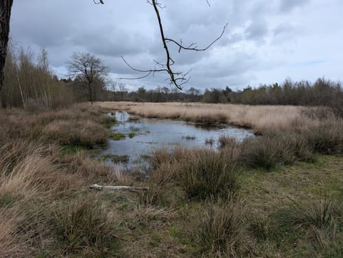 Witte Veen Kort Rondje