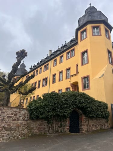 Rheingausport Tour Honigberg