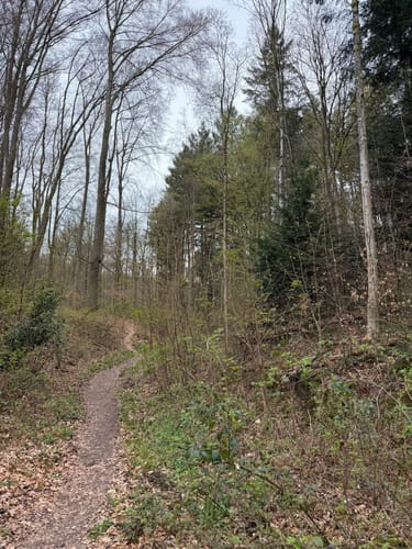 Rund um Gaiberg