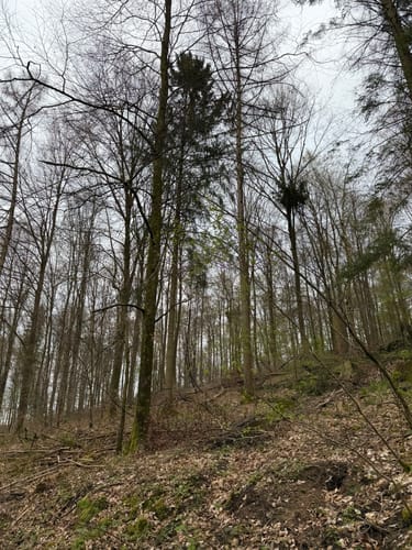 Rund um Gaiberg