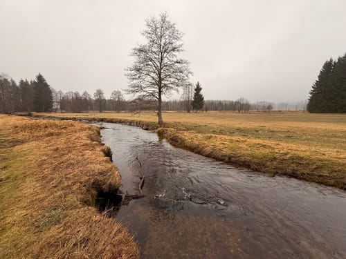 Rundweg Kreuzotter: Wandern durch Klosterfilz und Großer Filz