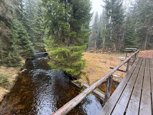 Rundweg Kreuzotter: Wandern durch Klosterfilz und Großer Filz