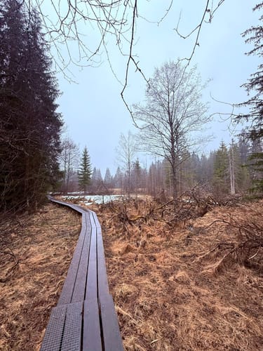 Rundweg Kreuzotter: Wandern durch Klosterfilz und Großer Filz