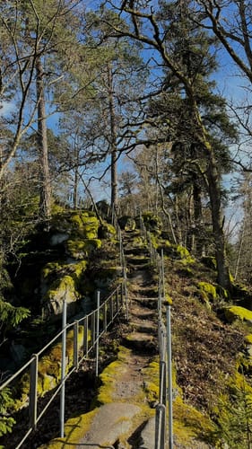 Schwarzwihrberg Rundweg