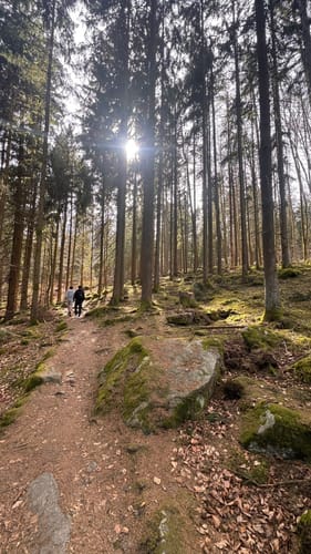 Schwarzwihrberg Rundweg