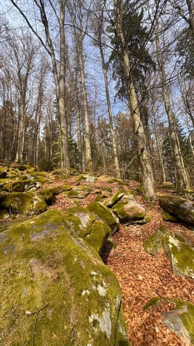 Schwarzwihrberg Rundweg