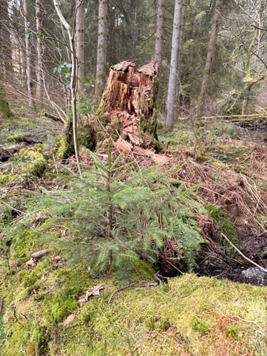 Frau Holle (Premiumwanderweg)
