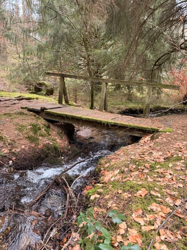 Frau Holle (Premiumwanderweg)
