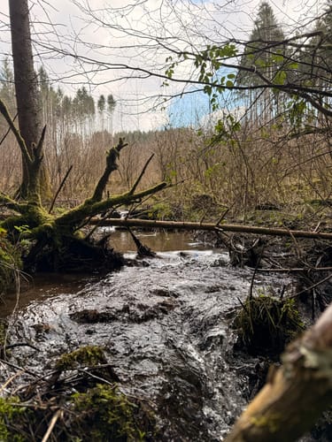 Frau Holle (Premiumwanderweg)
