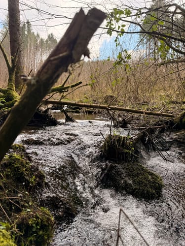 Frau Holle (Premiumwanderweg)