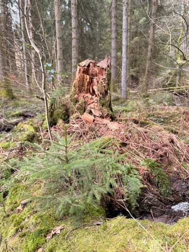 Frau Holle (Premiumwanderweg)