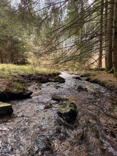 Frau Holle (Premiumwanderweg)