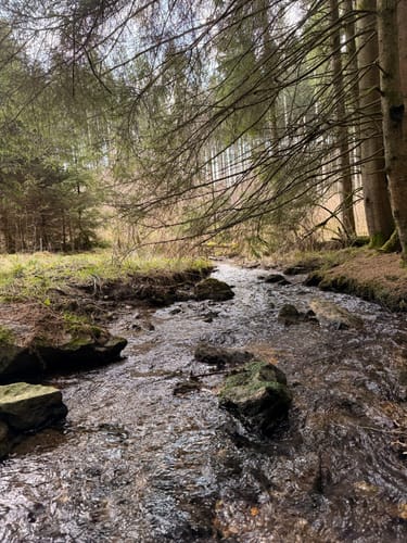 Frau Holle (Premiumwanderweg)