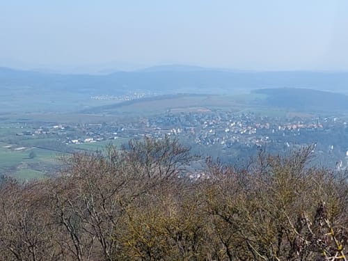 Bad Wildunger Rundwanderweg W5: Oberer Homberg-Rundweg