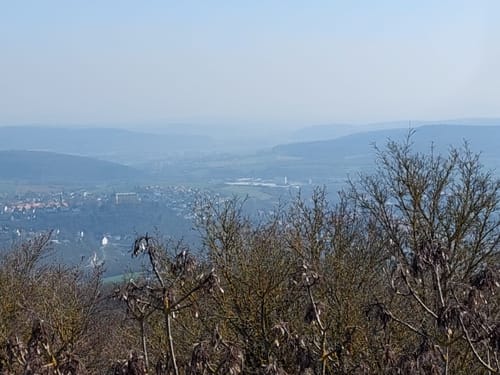 Bad Wildunger Rundwanderweg W5: Oberer Homberg-Rundweg