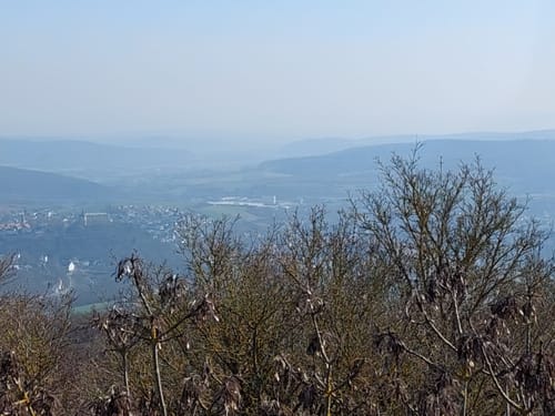 Bad Wildunger Rundwanderweg W5: Oberer Homberg-Rundweg
