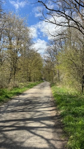 Rund um Tierpark Sommerhausen und Wasserschloss Erlach