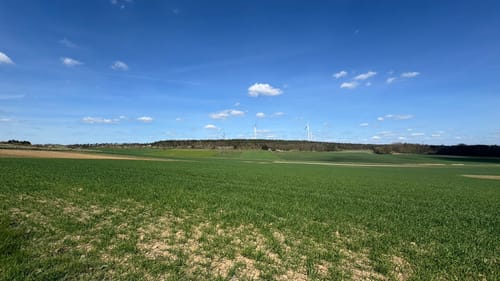 Rund um Tierpark Sommerhausen und Wasserschloss Erlach