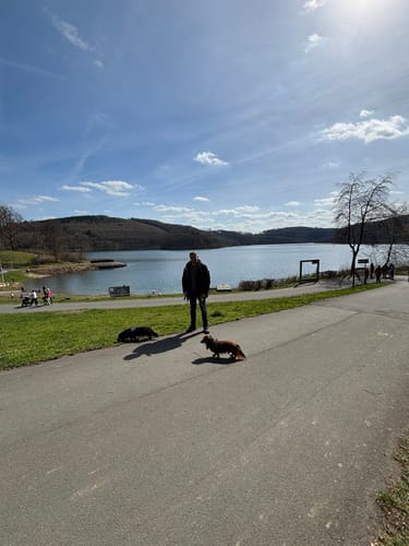 Um den Hennesee