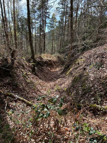 Dornröschen-Rundwanderweg