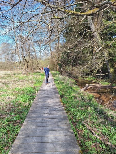 Himmels Gääs Paad (Traumschleife)