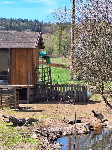 Himmels Gääs Paad (Traumschleife)