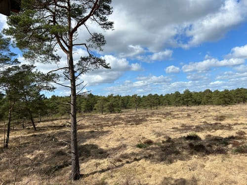 Nordpfad 'Dör't Moor'