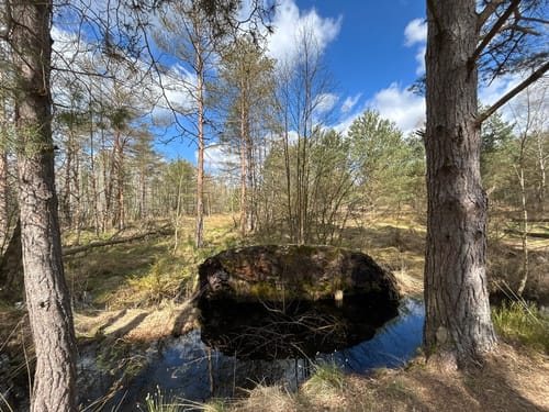 Nordpfad 'Dör't Moor'