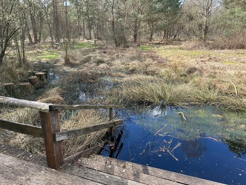 Nordpfad 'Dör't Moor'