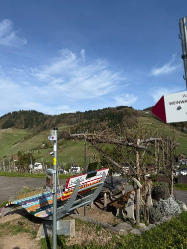 Ortenauer Weinschleife - Schwarzwald-Vogesen-Panoramarunde
