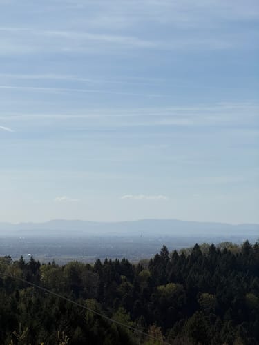 Ortenauer Weinschleife - Schwarzwald-Vogesen-Panoramarunde