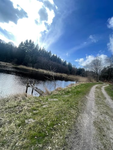 Wanderroute Waldhütten 17