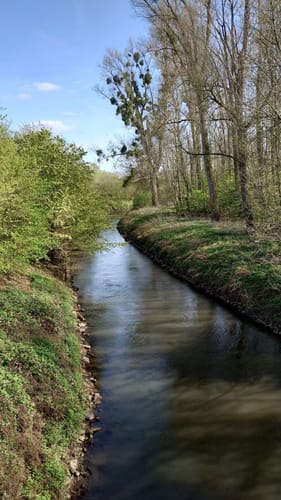 An der Erft zum Schloss Reuschenberg