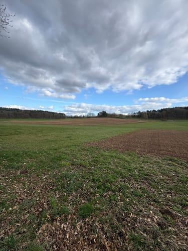 Rundweg Mackenbach-Schwedelbach
