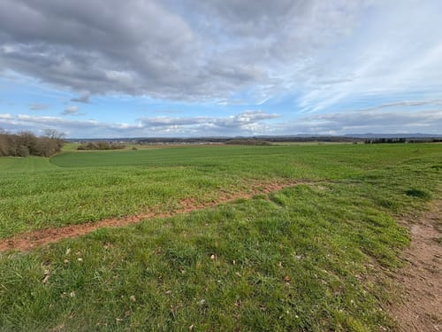 Rundweg Mackenbach-Schwedelbach