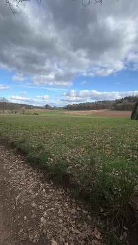 Rundweg Mackenbach-Schwedelbach