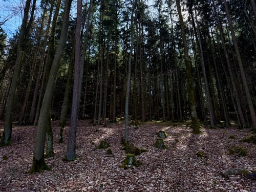 Kindinger Burgenweg