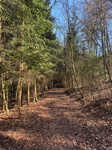 Kindinger Burgenweg